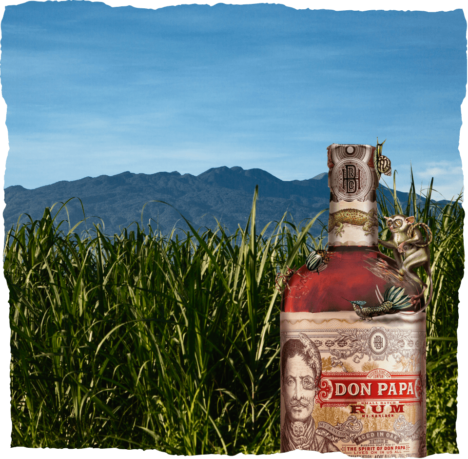 Don Papa Rum – Don papa rum